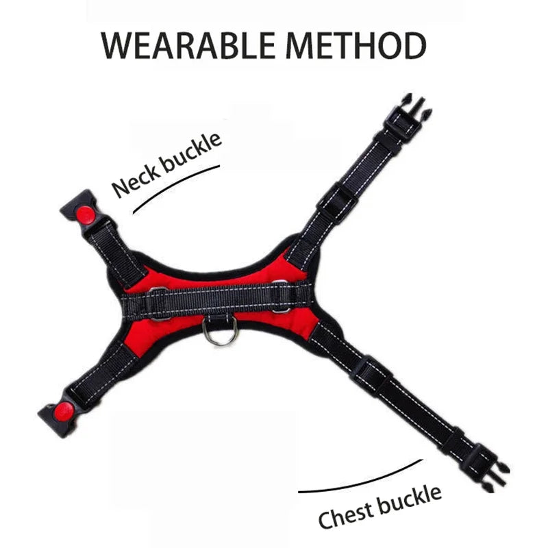 Comfort-Fit No-Pull Dog Harness