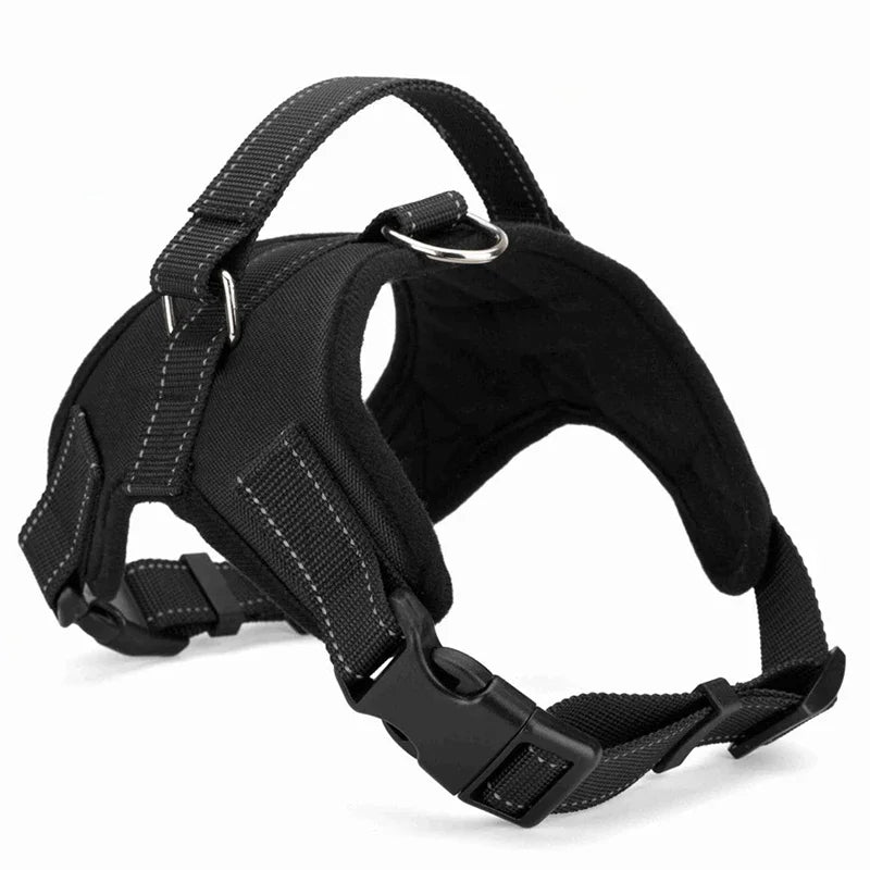 Comfort-Fit No-Pull Dog Harness