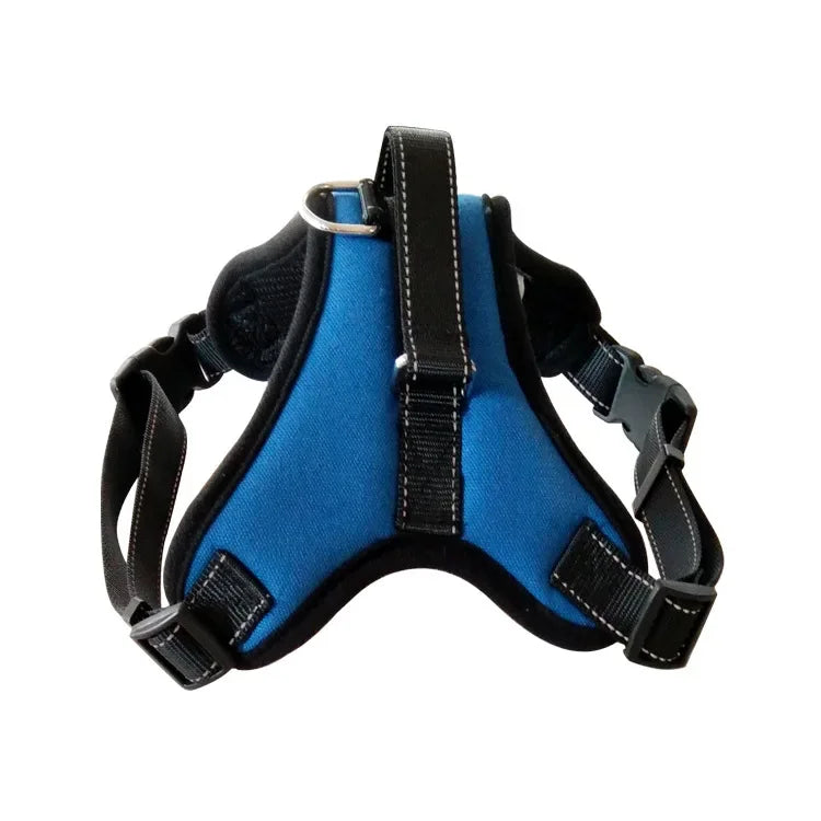 Comfort-Fit No-Pull Dog Harness