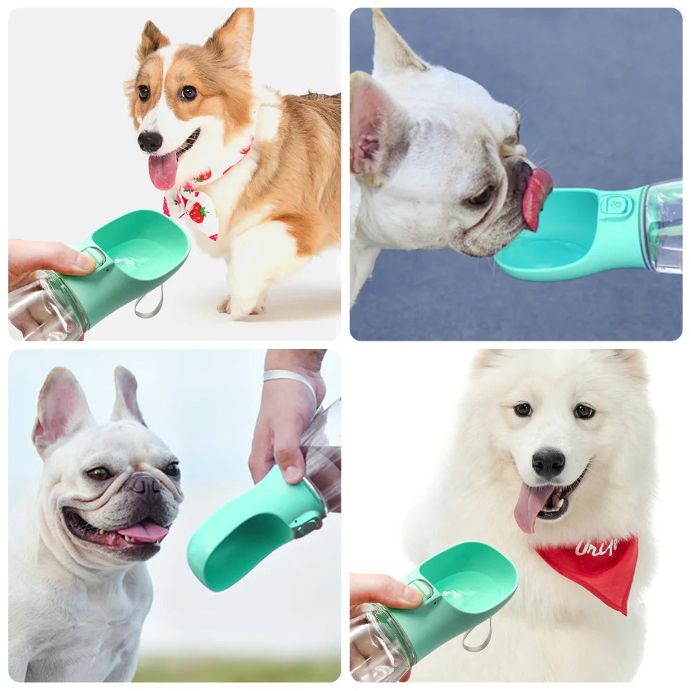 Paw & Whisker Portable Dog Water Bottle