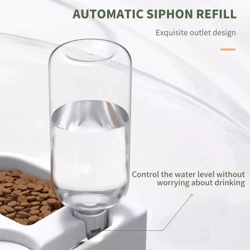 Paw & Whisker Automatic Food & Water Bowl